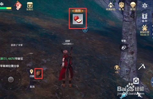 诺亚之心果肉怎么获得