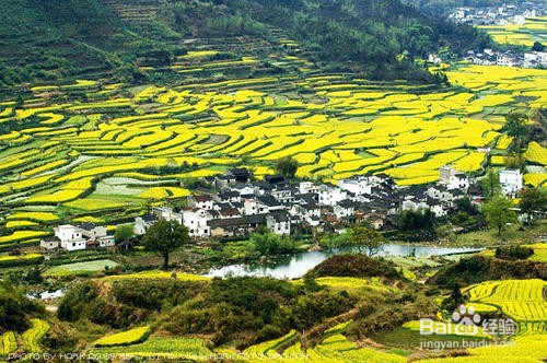 北京到婺源旅游攻略