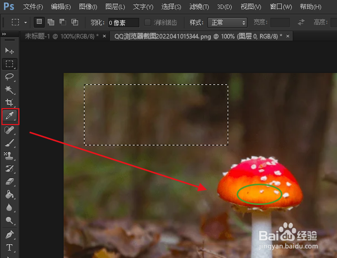 如何在 Photoshop 中复制颜色