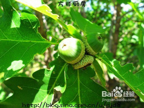东北土菜-----粘耗子