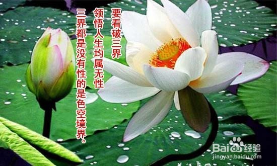 烦恼即菩提是什么意思