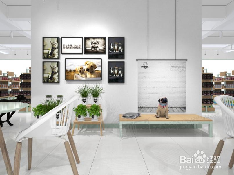 2020年开一家宠物店需要具备哪些条件