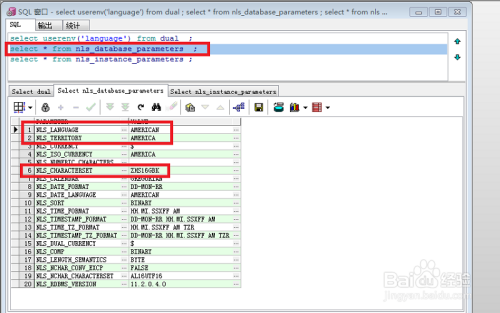 如何解决PLSQL Developer中文显示乱码问题