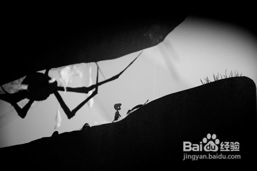 【摄影】纸制“家酿”剪影大片