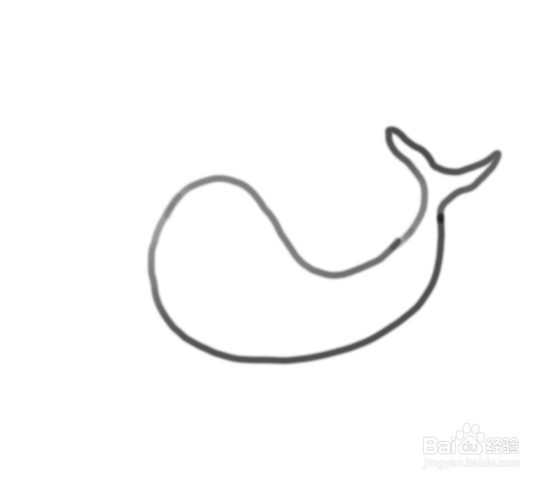 可爱的小鲸鱼