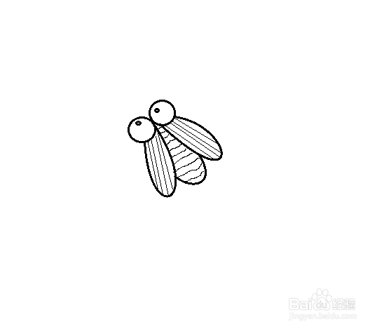 苍蝇简笔画简单图片