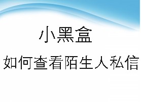 小黑盒如何查看陌生人私信