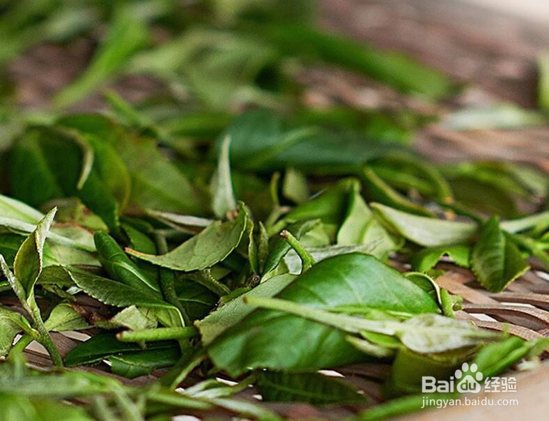 黄山毛峰的等级分类标准是什么