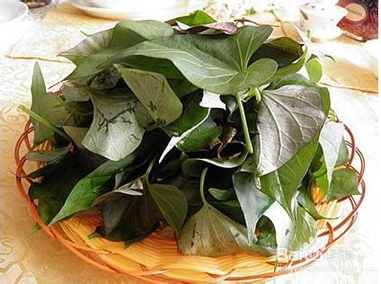 红薯叶 居然有这么强大