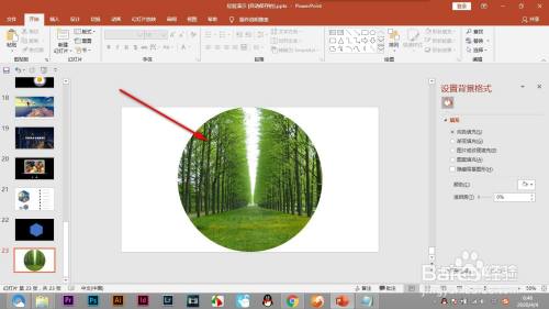 PPT如何将图片裁剪为形状?