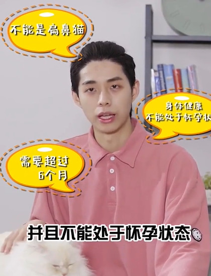 如何正确空运一只猫