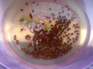 金刚菩提的盘完要点大全
