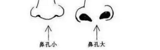 怎样才算鼻孔外露