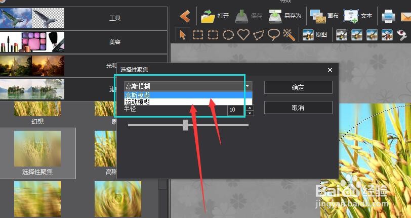 图片工厂中怎样给图片添加径向模糊效果