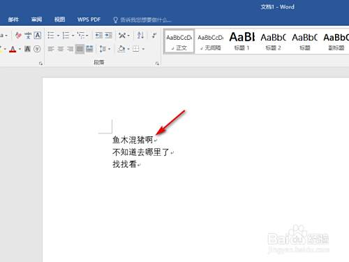 Word输入文字后面的字消失怎么办 百度经验