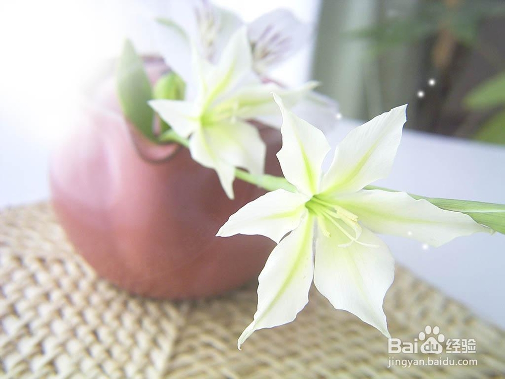 严重失眠吃什么好