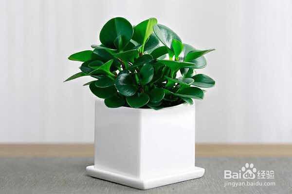 如何戒掉游戏瘾？（未成年版）