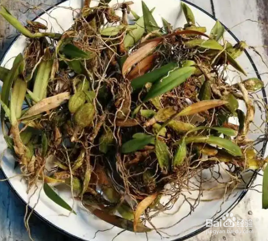 石橄榄怎么清洗