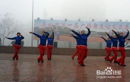 夜之光广场舞背面教程