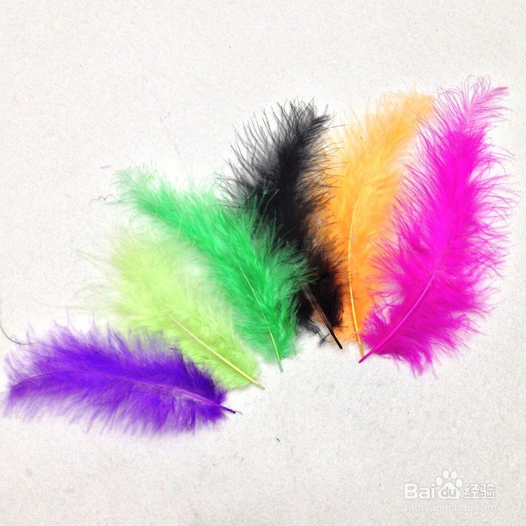 手工制作羽毛扇子、舞蹈扇