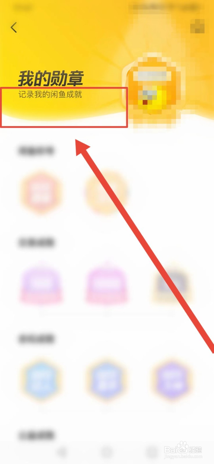 闲鱼怎样找到“记录我的闲鱼成就”？