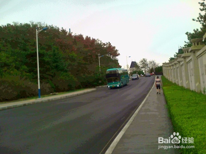 散步携带宠物狗要安全出行