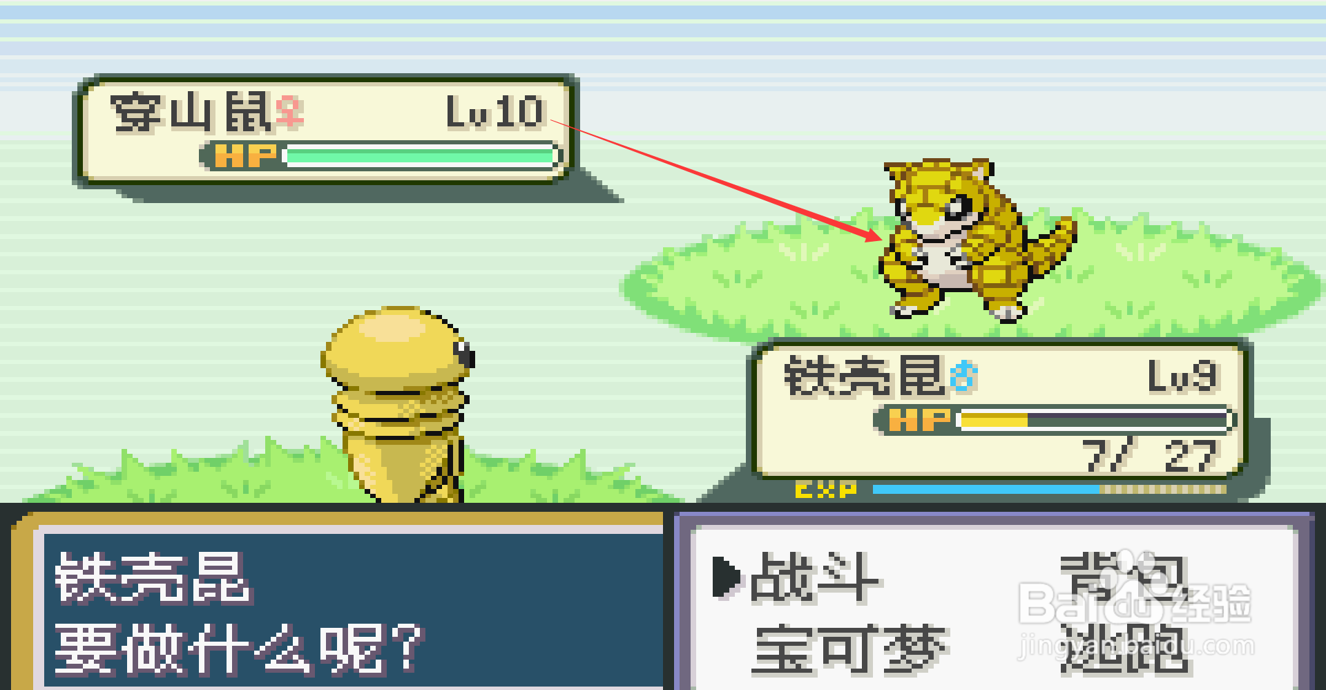 口袋妖怪叶绿派穿山鼠在哪里抓