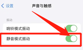 苹果如何设置静音模式振动