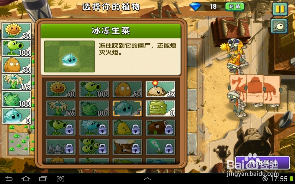 植物大战僵尸2神秘埃及第四天一星