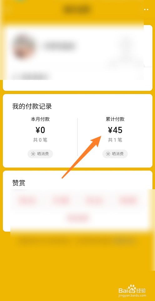 微信怎么看在一家店消费总额