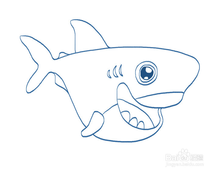 简单鲨鱼的画法