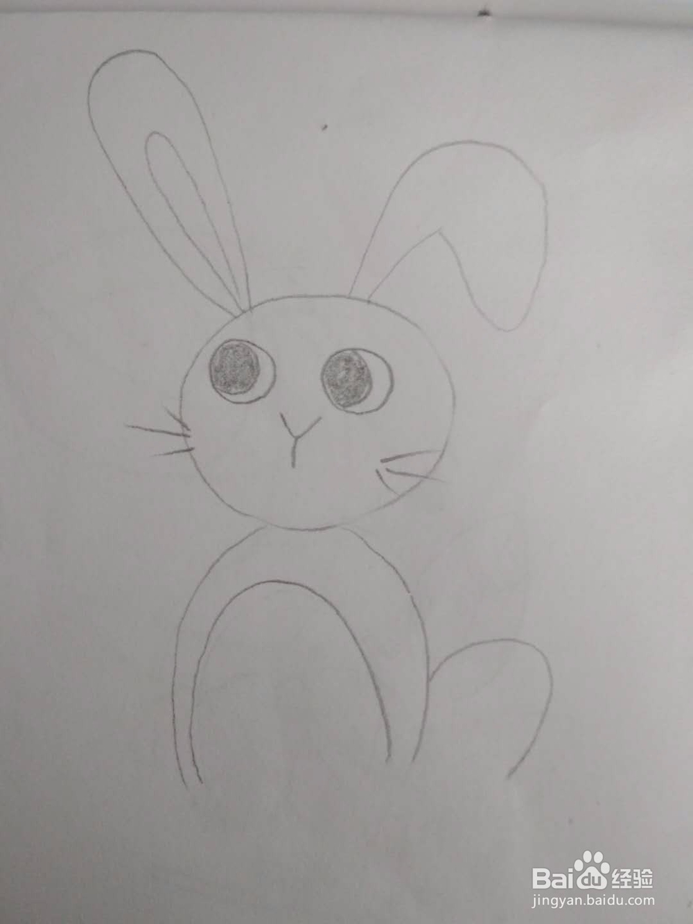 多妈简笔画动物一只可爱的小白兔