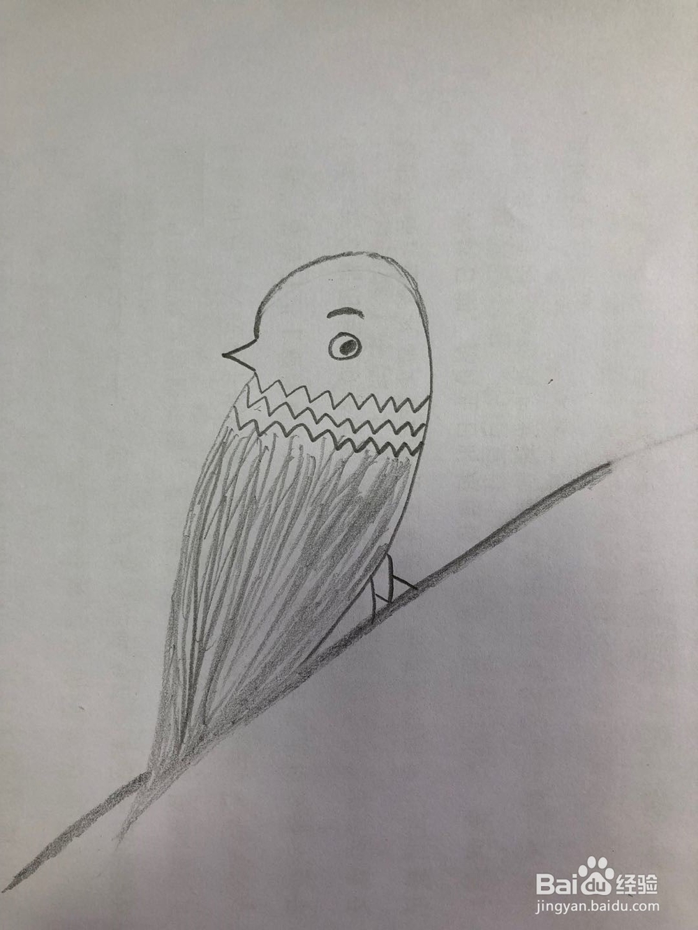 怎样画简易版的麻雀？