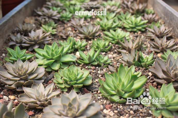 2012年6月23日 记录