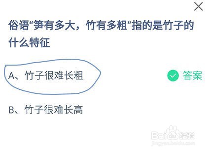 蚂蚁庄园笋有多大,竹有多粗指竹子的什么特征