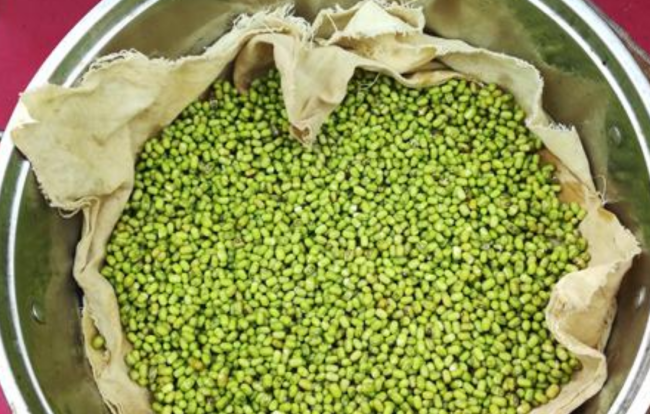 让黄豆芽变成“绿豆芽