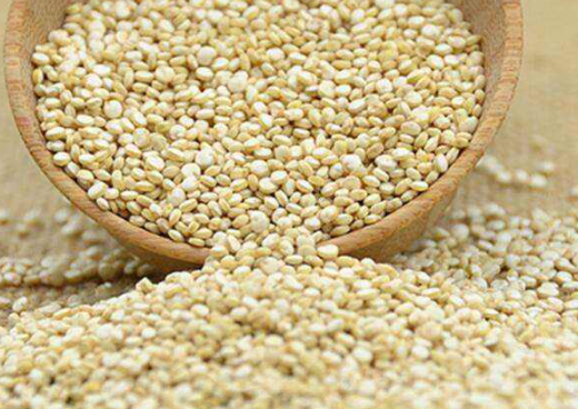 碳水化合物的食物有哪些