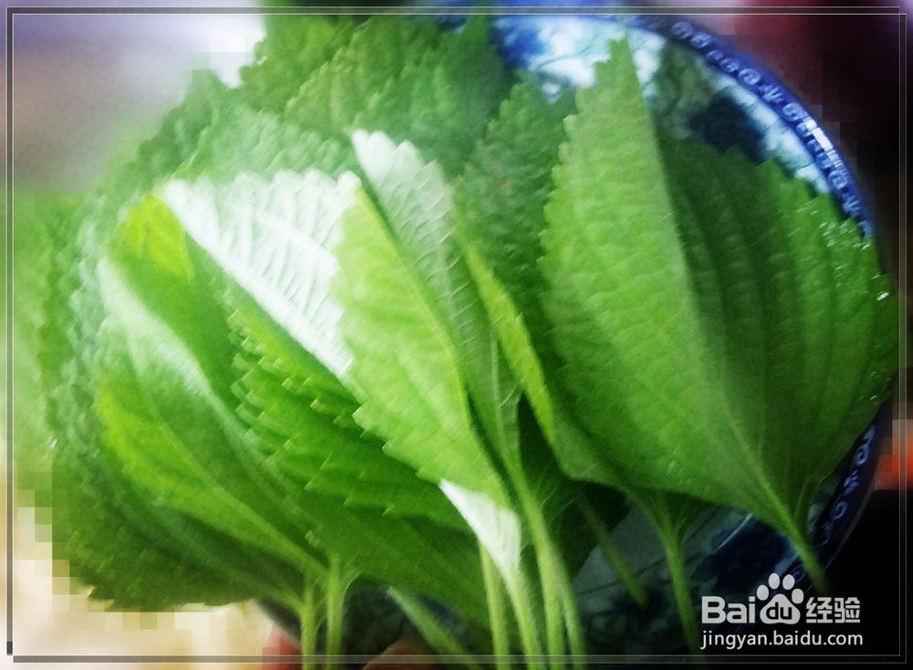 东北小吃粘耗子怎么做?