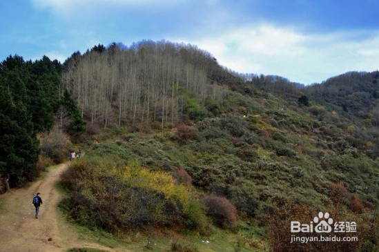 爬山前注意事项有哪些