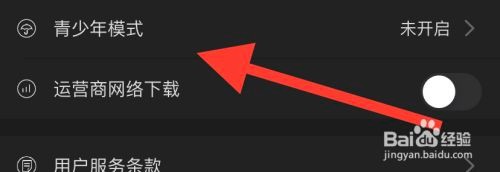 南瓜电影如何开启青少年模式