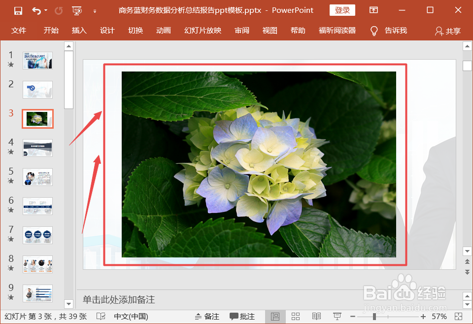 ppt中怎么裁剪图片