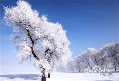书到用时方恨少！东北雪乡之旅
