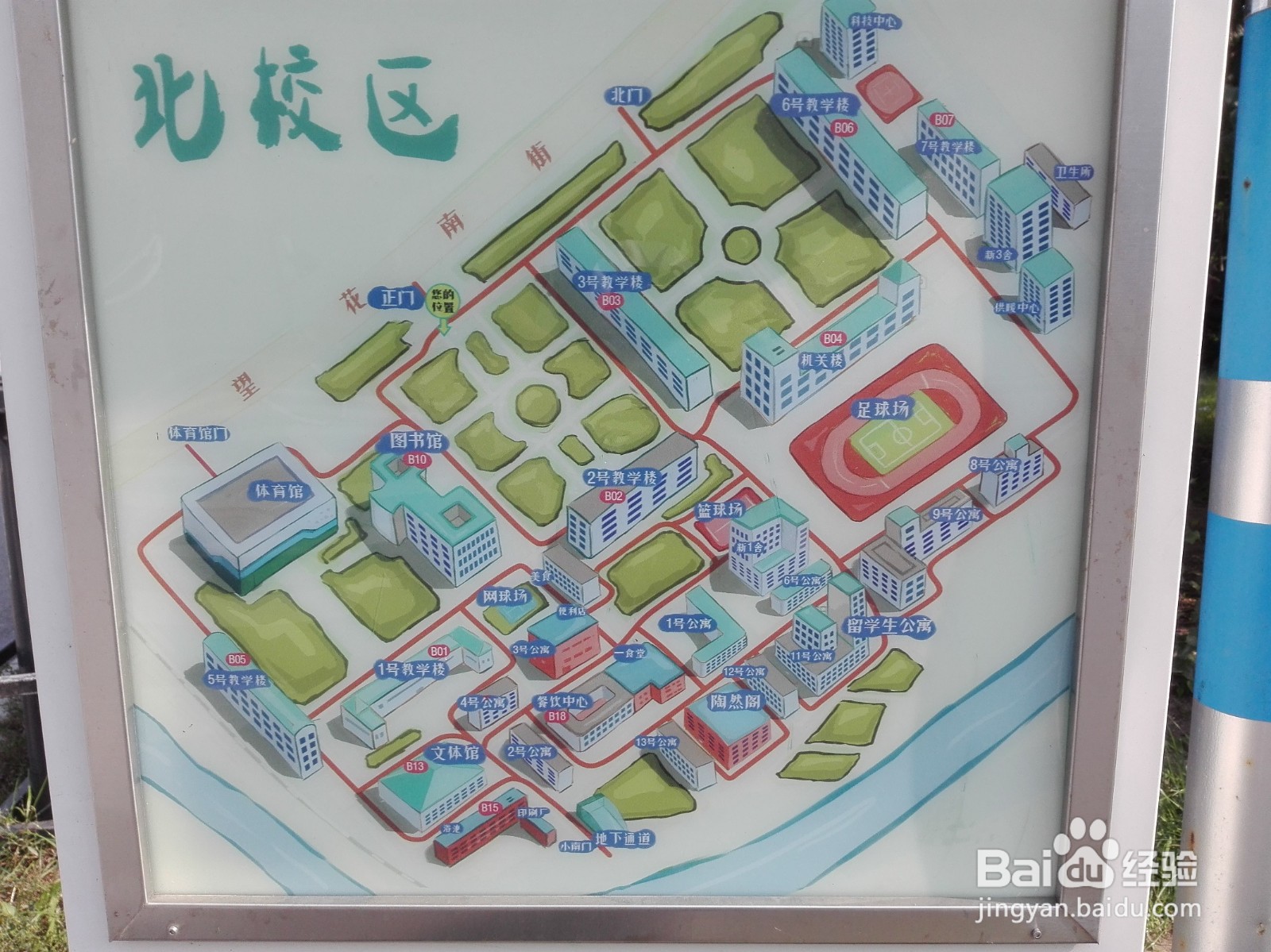 沈阳大学校区怎么划分#校内游玩攻略#