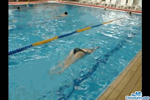 怎样通过找腰找波浪来学习蝶泳