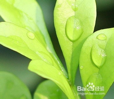 肾部保护的几个方法?