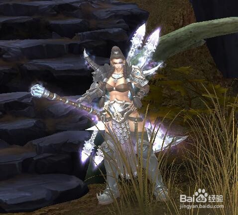 龙神契约的白虎在哪里