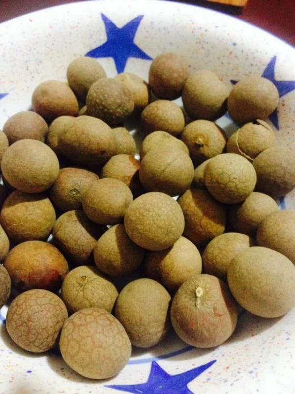 养血桂圆红枣茶