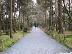 生活-关怀中的甜蜜