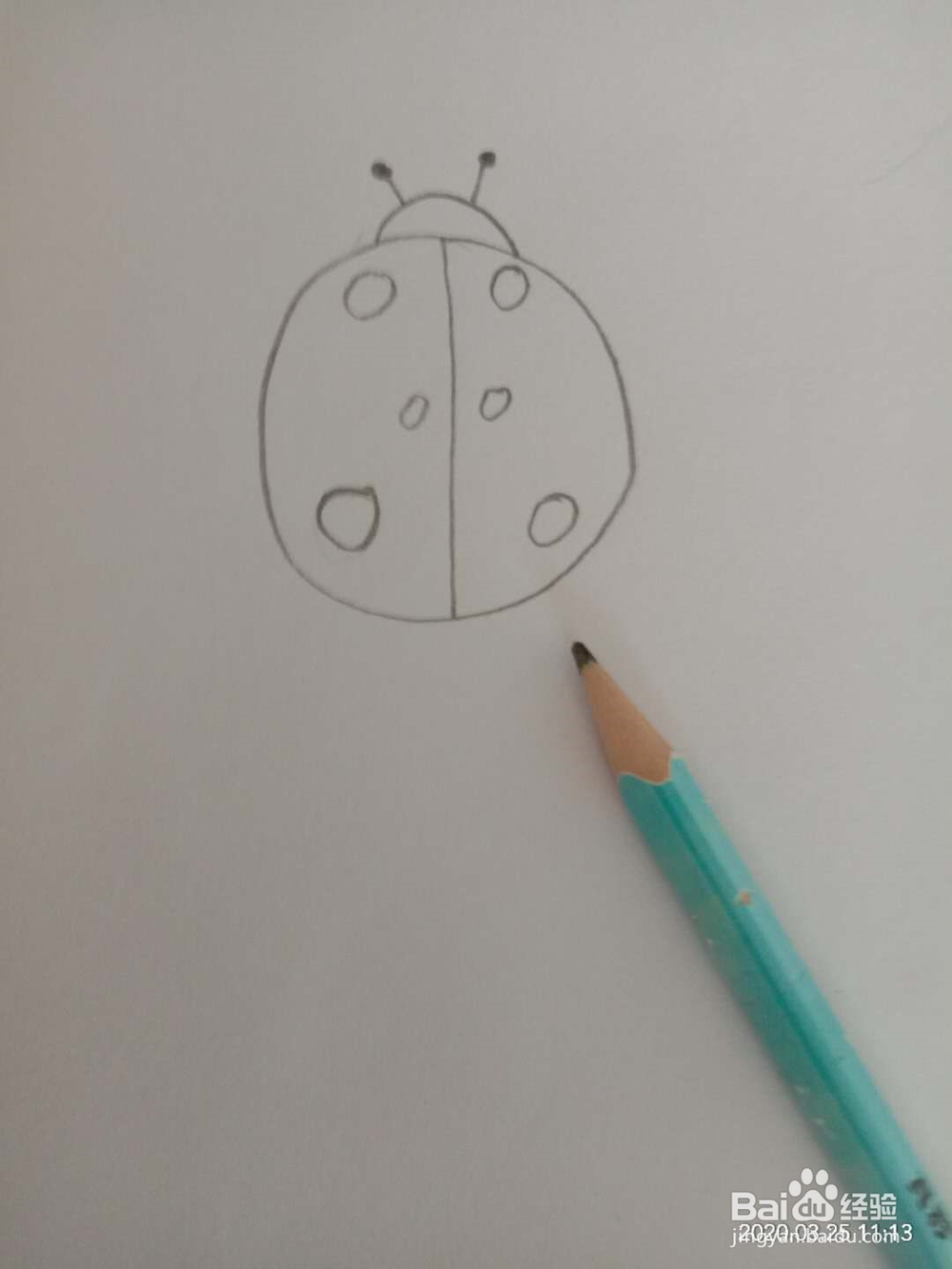 简笔画 如何画七星瓢虫