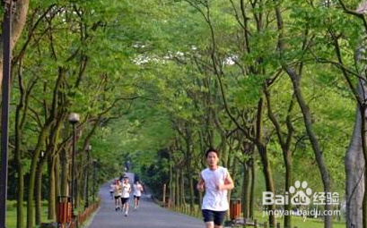 清晨跑步,要注意些什么
